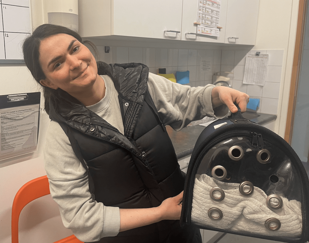 Opmerkelijke terugkeer: Kat Sushi na elf maanden weer herenigd met overgelukkige&nbsp;eigenaar