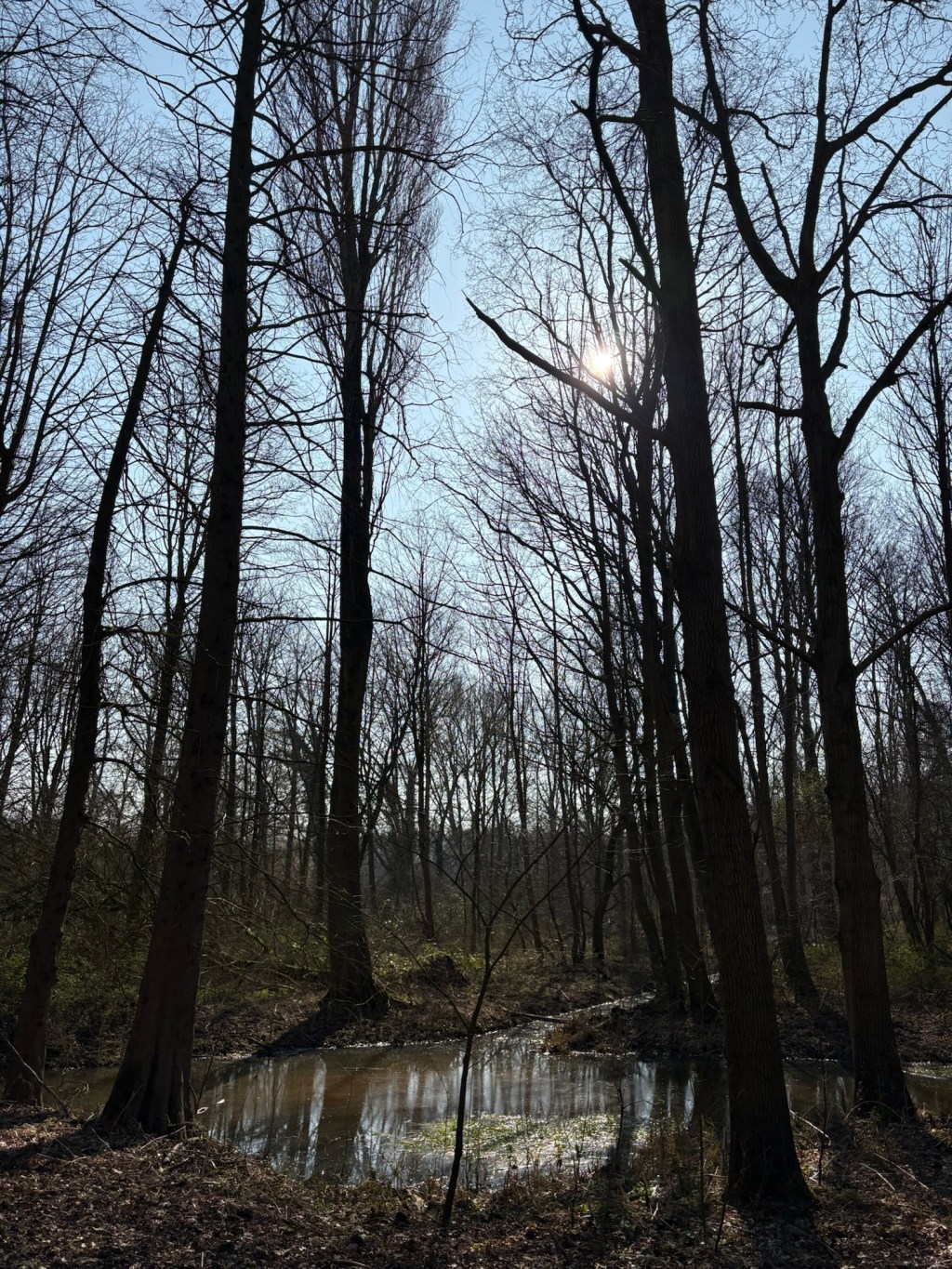 Eerste lokale warme dag van het&nbsp;jaar