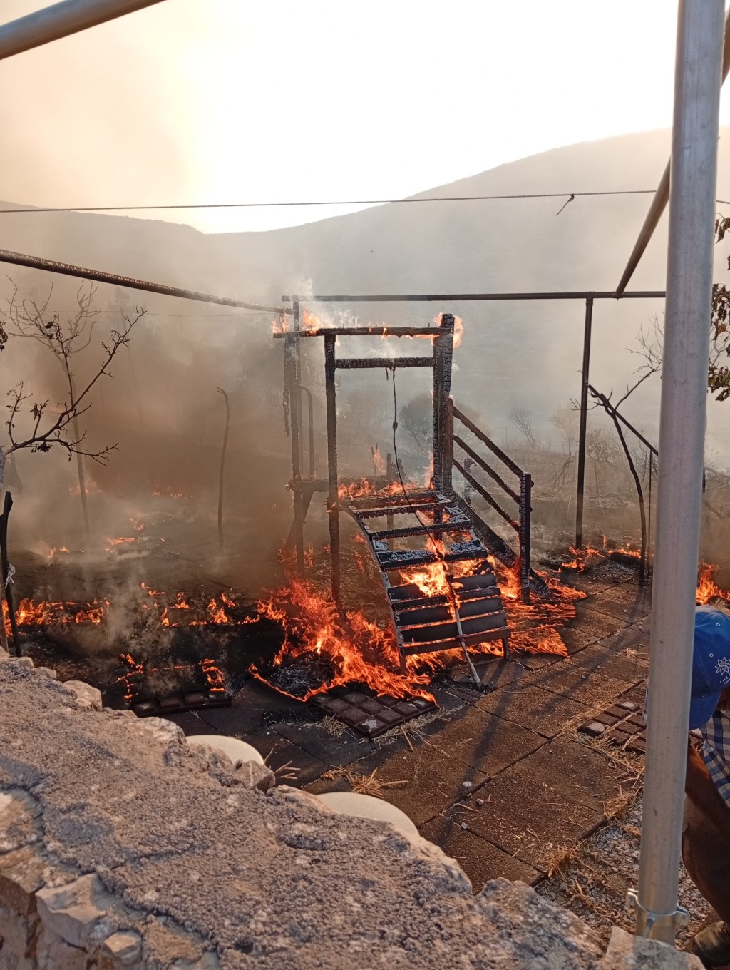 Brand verwoest dierenopvang op Kythira – Help mee met&nbsp;wederopbouw