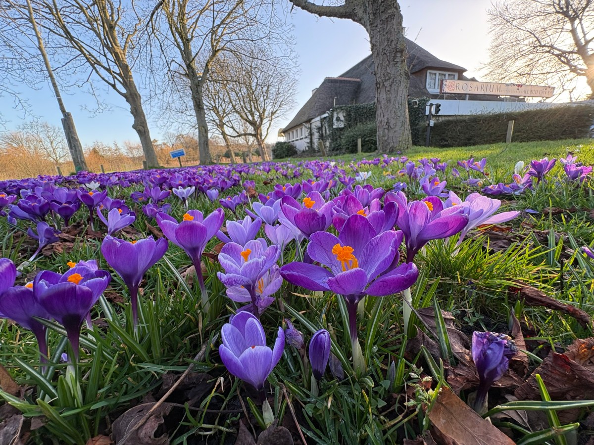 Den Haag komt met actieplan voor schone&nbsp;lucht