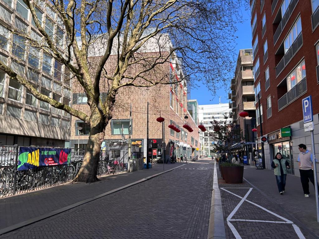 Veilig en prettig fietsen over de vernieuwde Gedempte&nbsp;Gracht