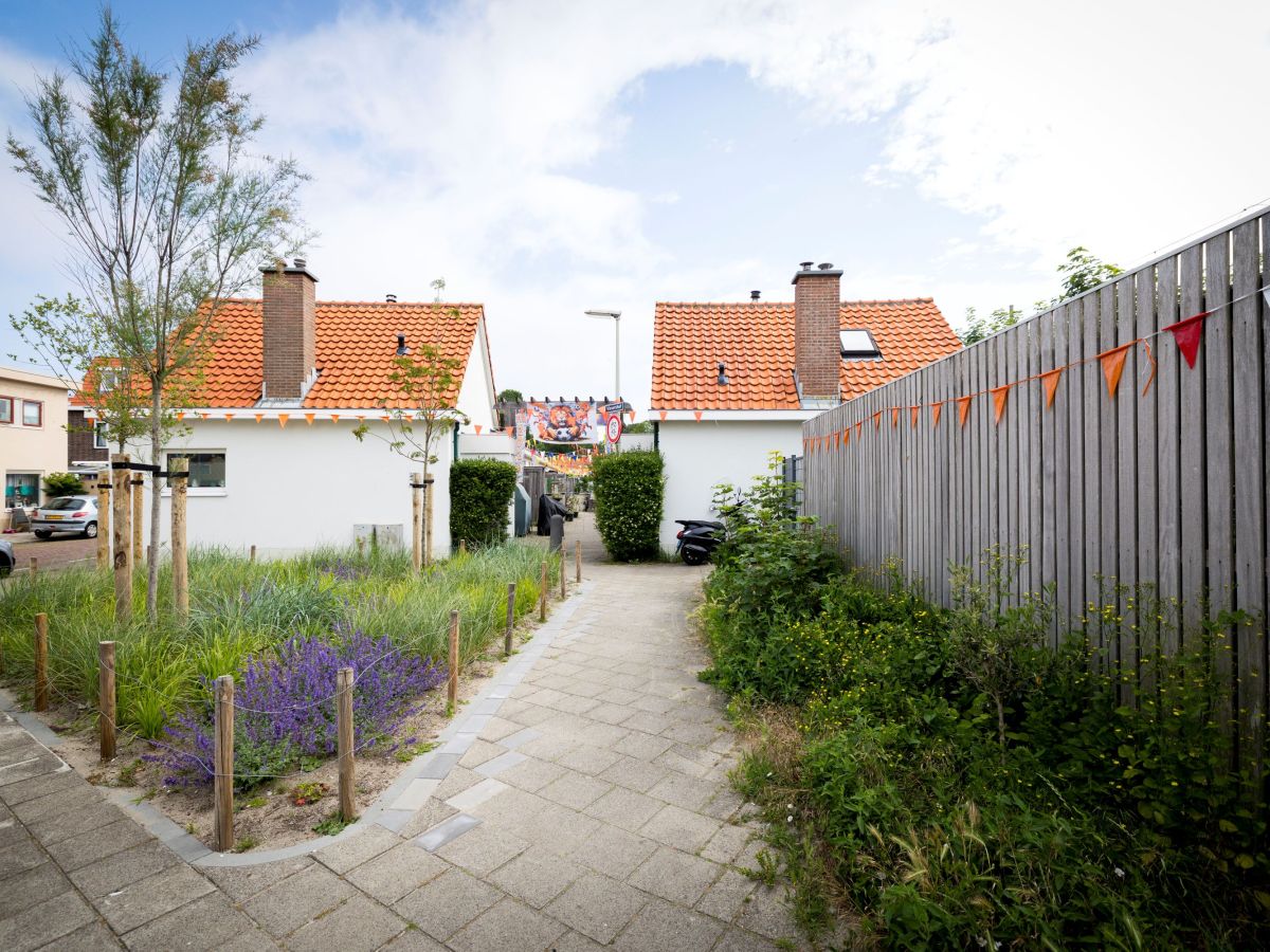 Versteende wijken in Den Haag worden steeds&nbsp;groener