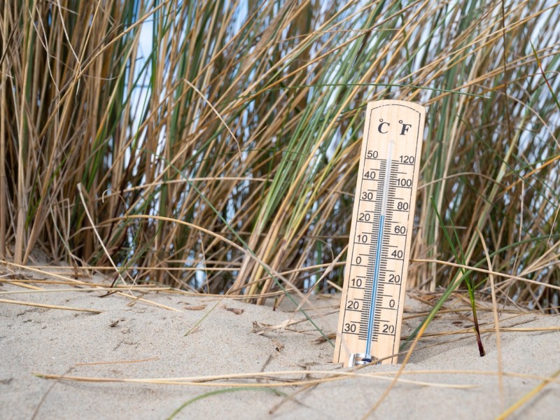 Nederlanders bestellen massaal een airco bij eerste 30&nbsp;graden