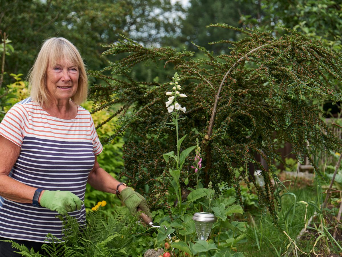 Happy wife, happy life? 52% van de mannen geeft partner de regie over interieur en&nbsp;tuin