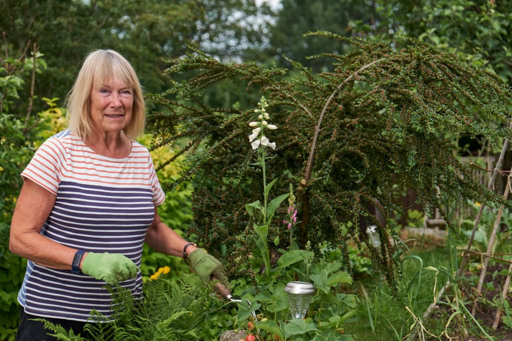 Happy wife, happy life? 52% van de mannen geeft partner de regie over interieur en&nbsp;tuin