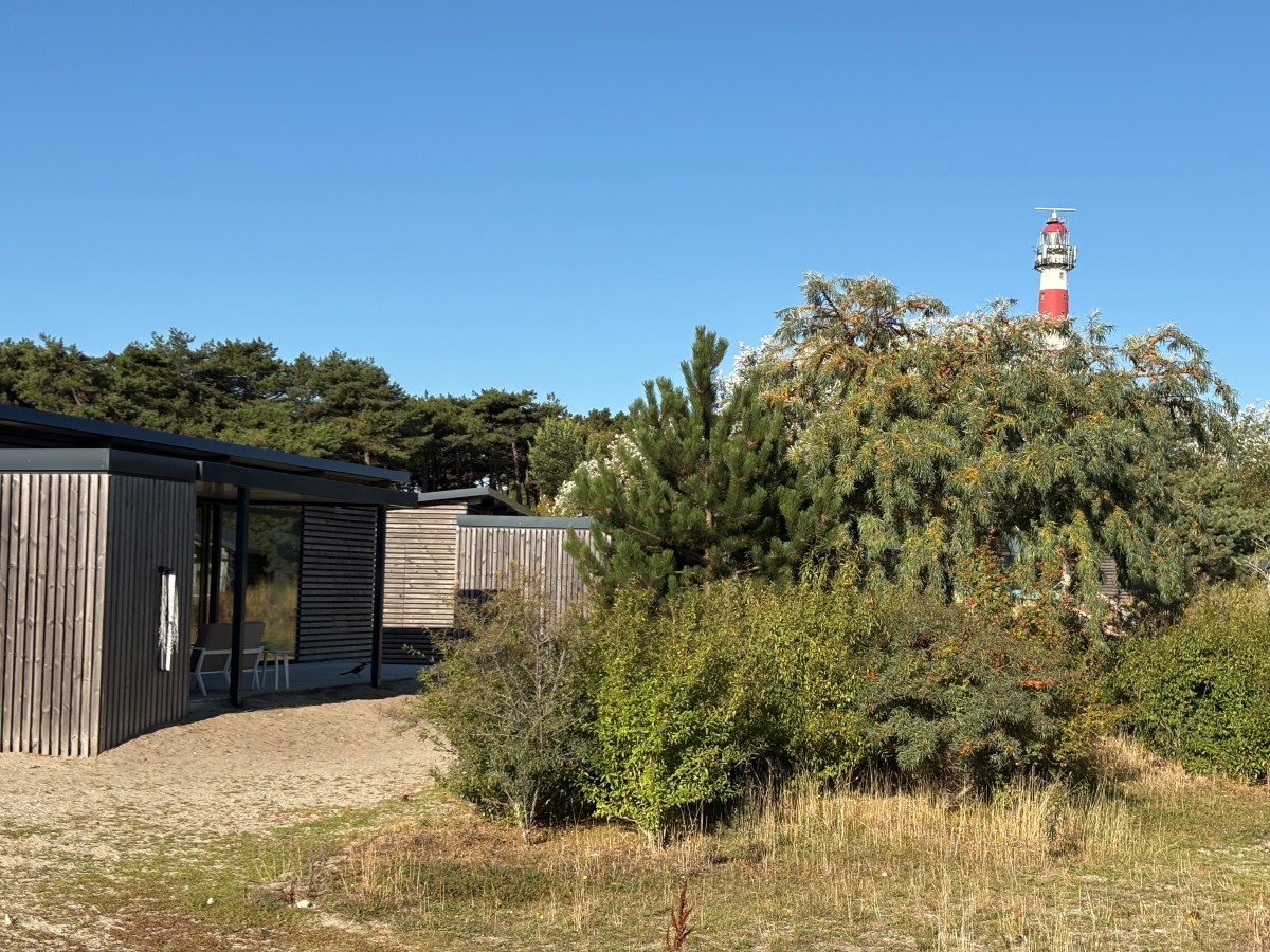 Vakantie Waddeneilanden: ontdek de mooiste eilanden van&nbsp;Nederland